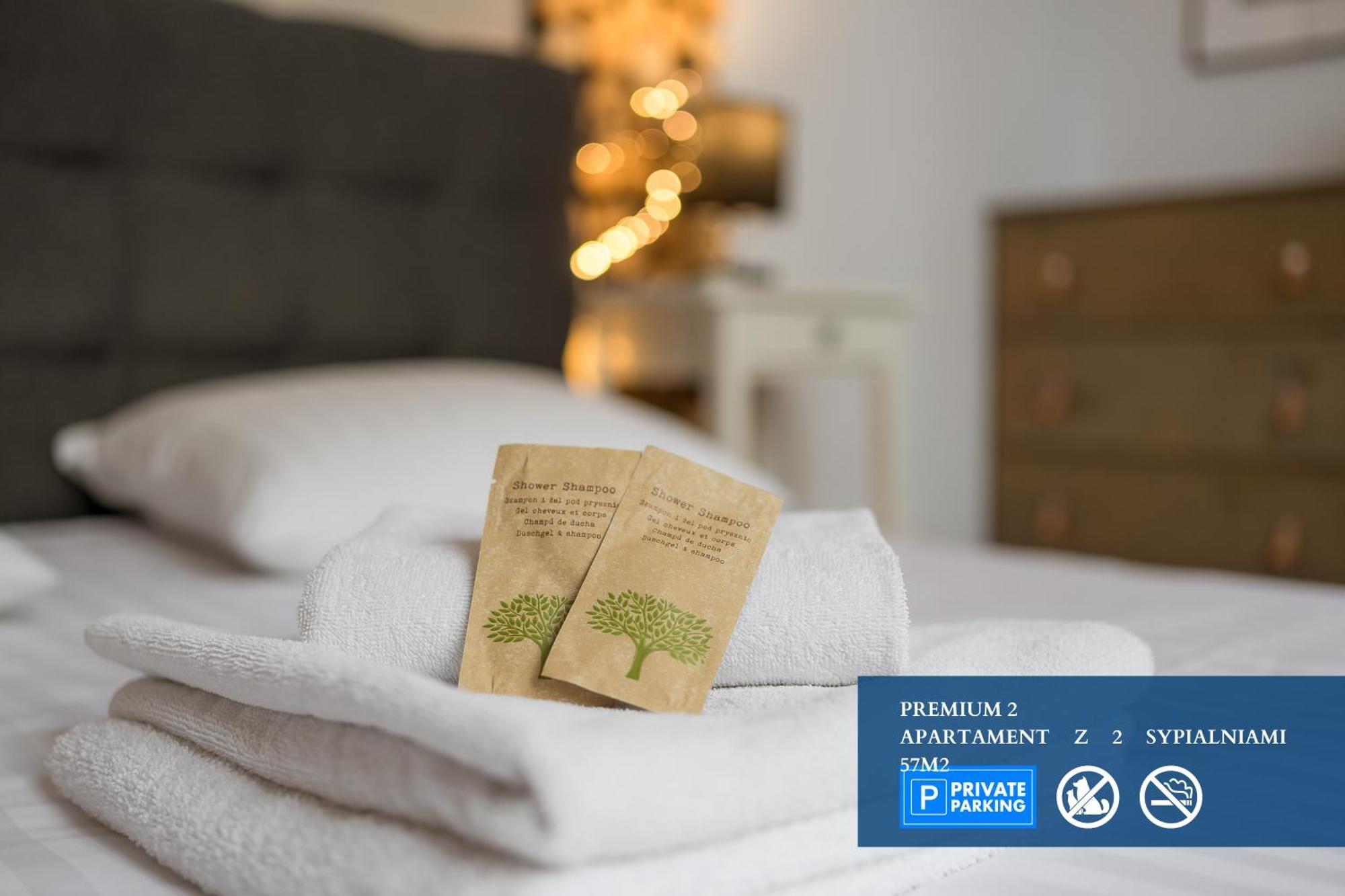 Stary Toruń Premium Apartment With Free Private Parking מראה חיצוני תמונה